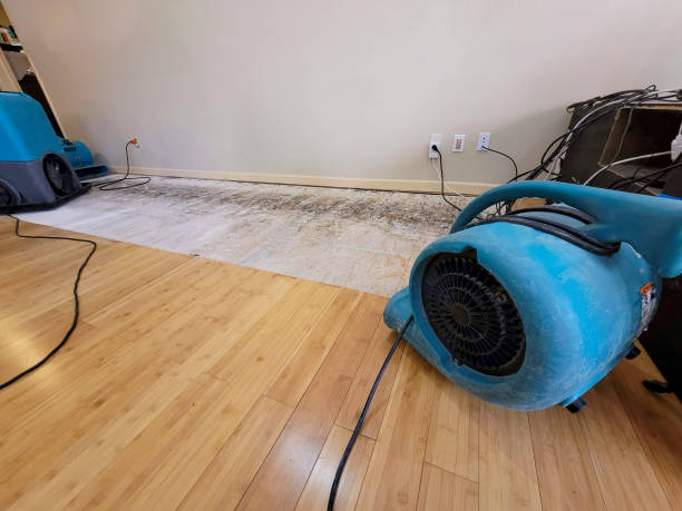 Professional Sewage Cleanup technician working in Chaseburg, WI